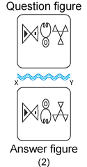 Non verbal reasoning, water images practice questions with detailed solutions, water images question and answers with explanations, Non-verbal series, water images tips and tricks, practice tests for competitive exams, Free water images practice questions